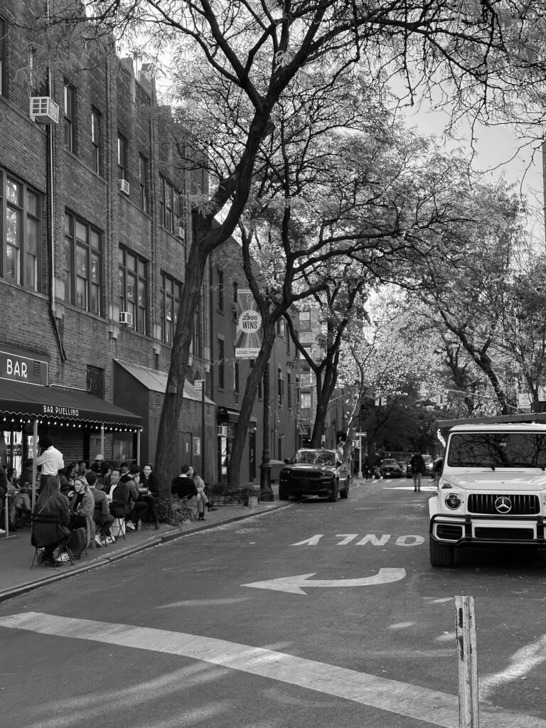 street view neighborhood of modern brooklyn