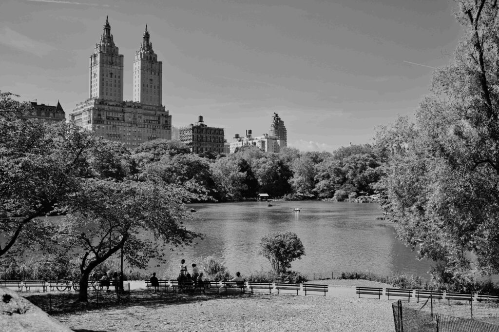 NYC City Park View