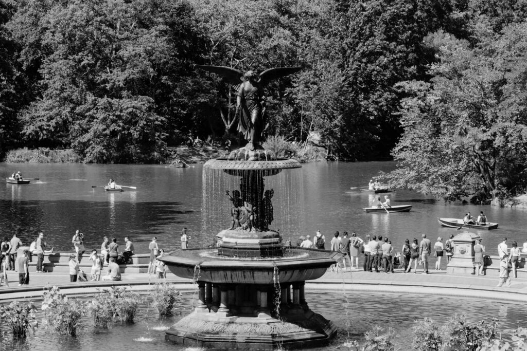 NYC Community Park View 