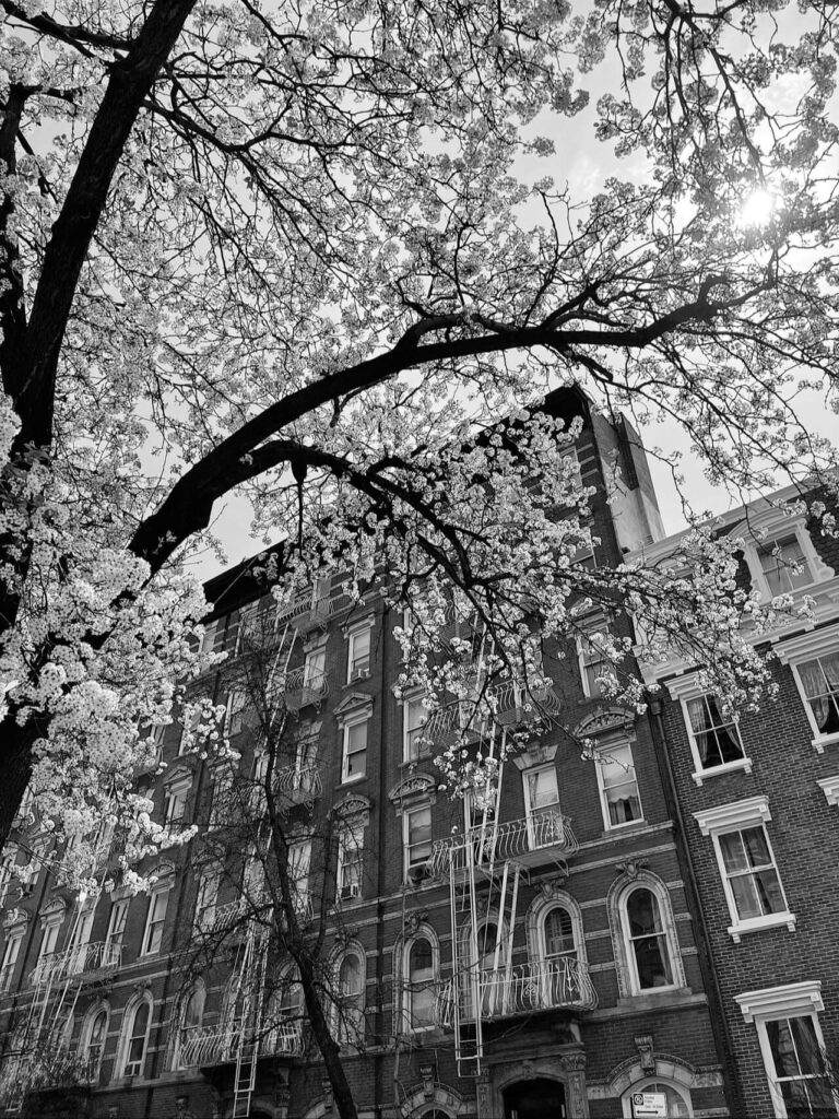 Brooklyn modern apartment near Classon Avenue