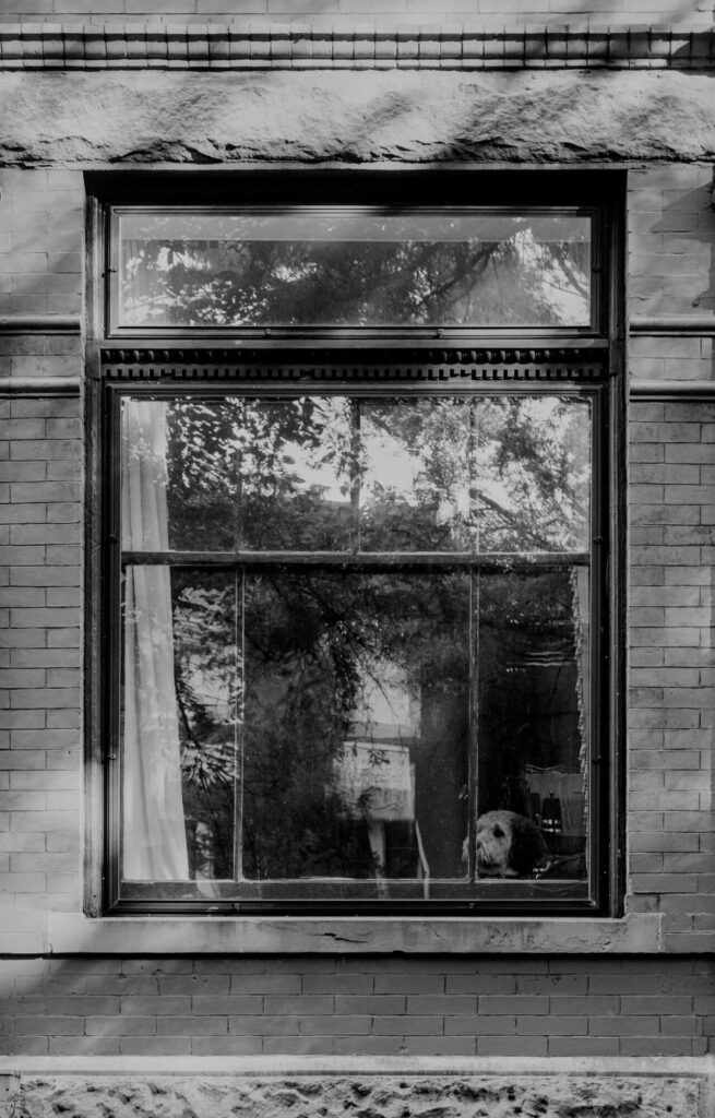 Big Window in Brooklyn Apartment