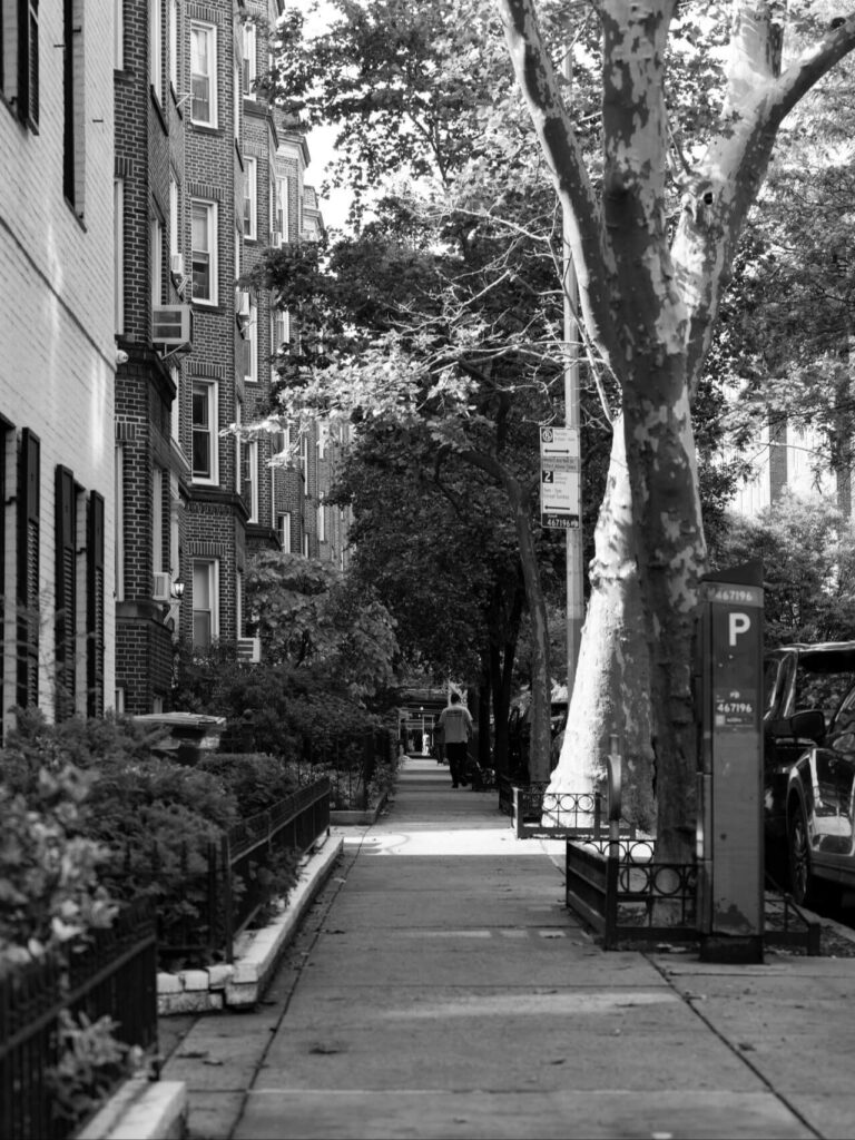 Brooklyn neighborhood street view