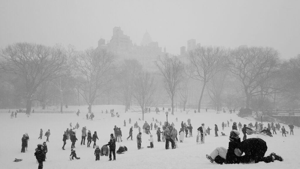 NYC Community Bonding Snow Day